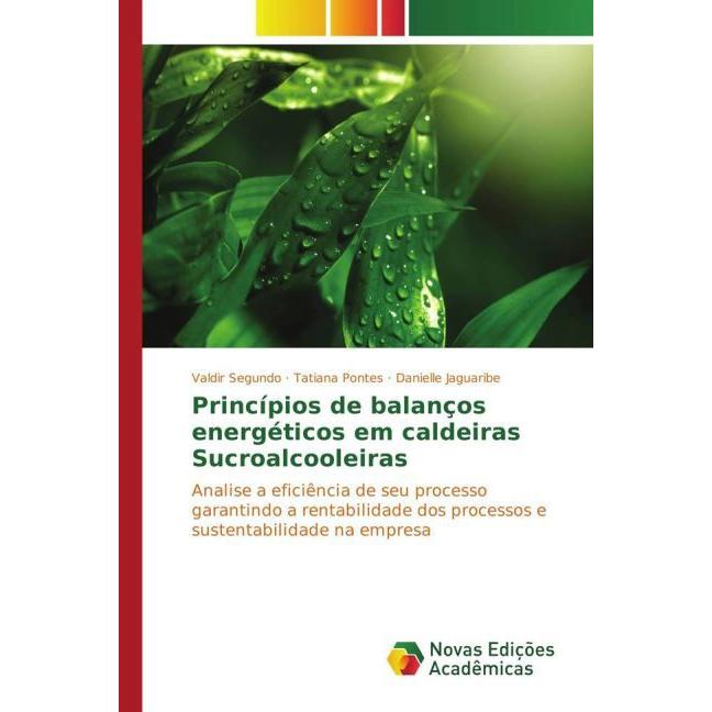 Princípios de balanços energéticos em caldeiras Sucroalcooleiras, Fachbücher