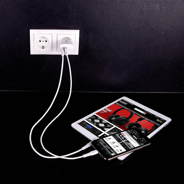 Produktbild Lindy USB Type A, & C Charger (20 W, 2 Ports)
