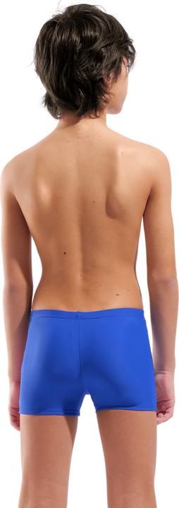 Actual product image Arena B Graphic Swim Short (164)