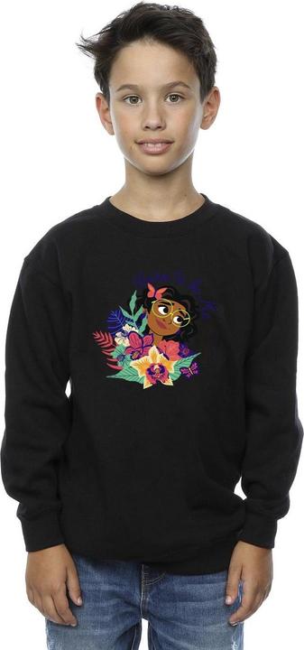 Produktbild Disney Encanto Born To Be Me Sweatshirt Jungen (104)