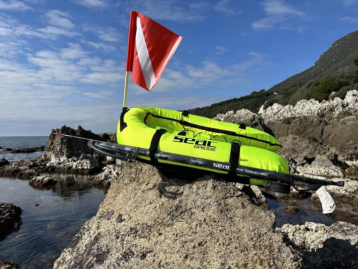Image du produit Seac Bridge Board