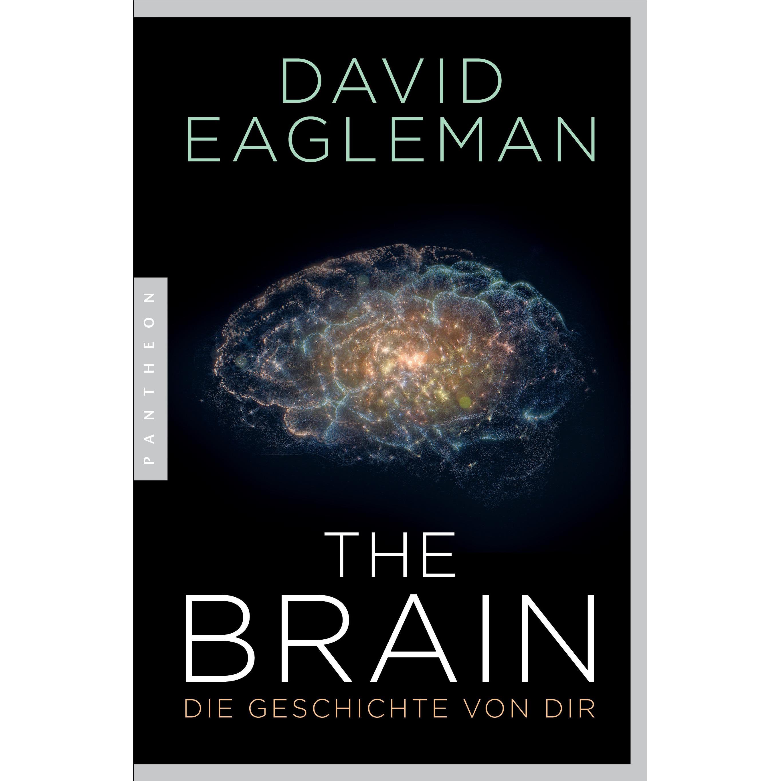 The Brain, Fachbücher von Jürgen Neubauer, David Eagleman