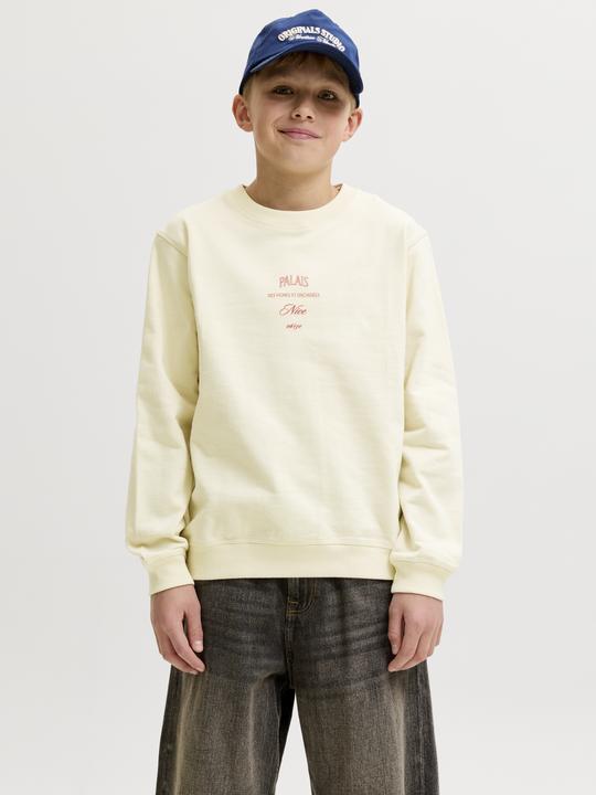 Image du produit Jack & Jones Sweatshirt Junior Sweatshirt (176)