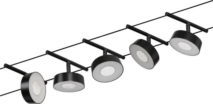 Actual product image Paulmann Wire System Circle (400 lm)