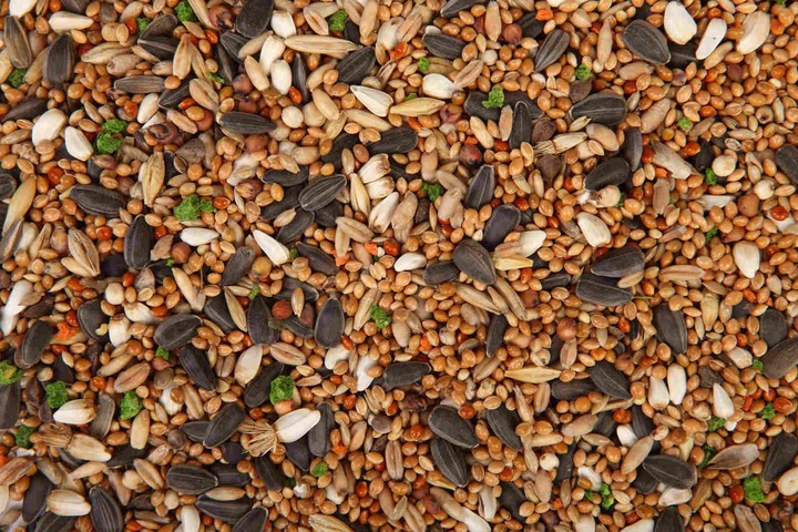 Produktbild Megan ME11, Samen mix, 650 g, Papagei (1 x, 0.65 kg)