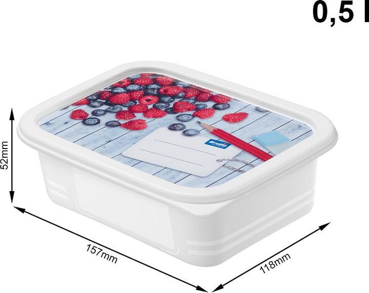 Image du produit Rotho Boîtes de congélation (0.50 l)