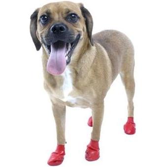 Pawz Dog Bottes Pour Chiens Xs