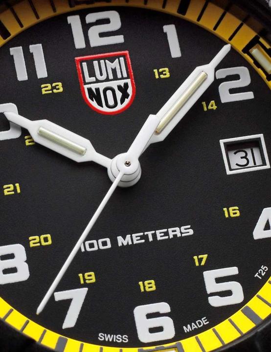 Actual product image Luminox Leatherback Sea Turtle Giant 0320 Series (Diving watch, 44 mm)