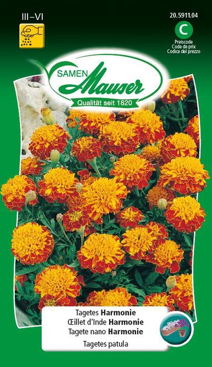 Image du produit Samen Mauser Tagetes Harmonie (Graines de fleurs)