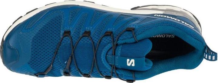 Actual product image Salomon Pro Laufschuhe (42)