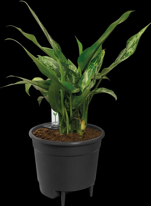 Actual product image Elho Self-irrigation systems