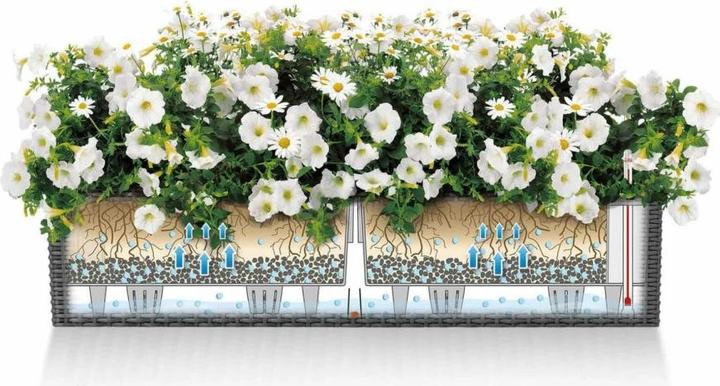Actual product image Lechuza Balconera Cottage (19 cm)