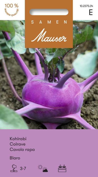 Image du produit Samen Mauser Chou-rave Blaro (Graines de légumes)