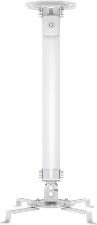 PureMounts PM-Spider-30W (Decke)