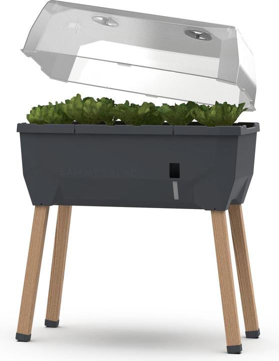 Gusta Garden Sammy Salad
