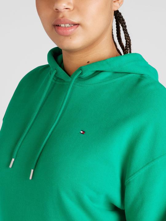 Image du produit Tommy Hilfiger Sweat à capuche (48)