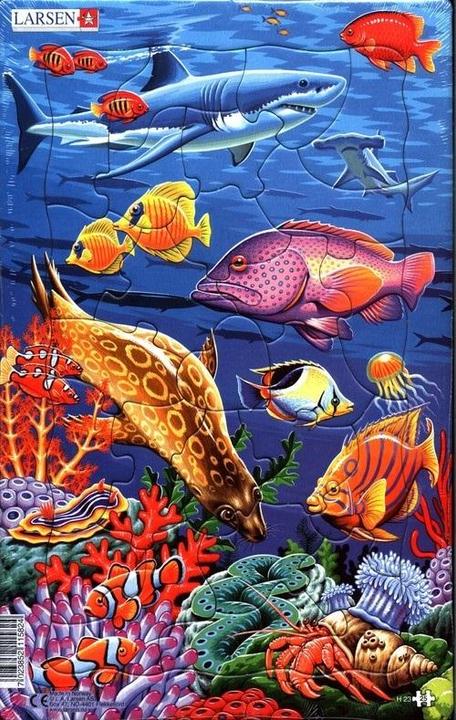 Produktbild Larsen Puzzle - Korallenriff (2er-Set Midi) (25 Teile)