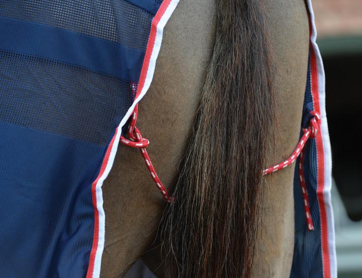 Actual product image Weatherbeeta Scrim (155 cm)