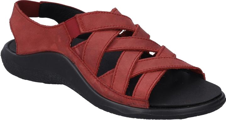 Actual product image Westland 18306-348 (39)