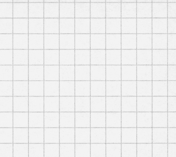 Actual product image Naturaline Exercise book A4 FSC 4mm without margin (A4, Checked, Hardcover)