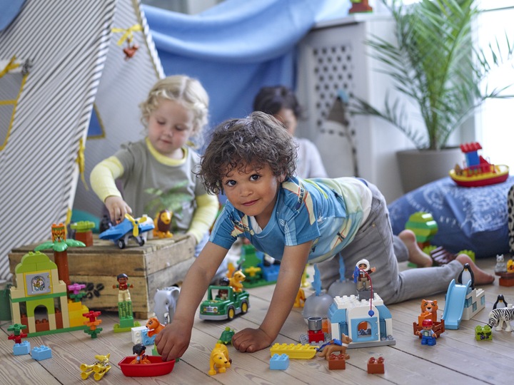Actual product image LEGO Jungle (10804)