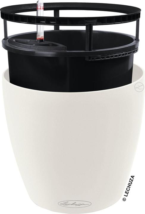 Actual product image Lechuza Classico Colour. (43 x 43 x 39 cm)