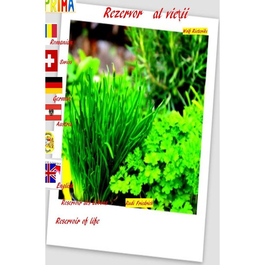 Rezervor al vie ii Romanian English German Reservoir des Lebens Reservoir of life, Belletristik von Rudi Friedrich, Wolf...