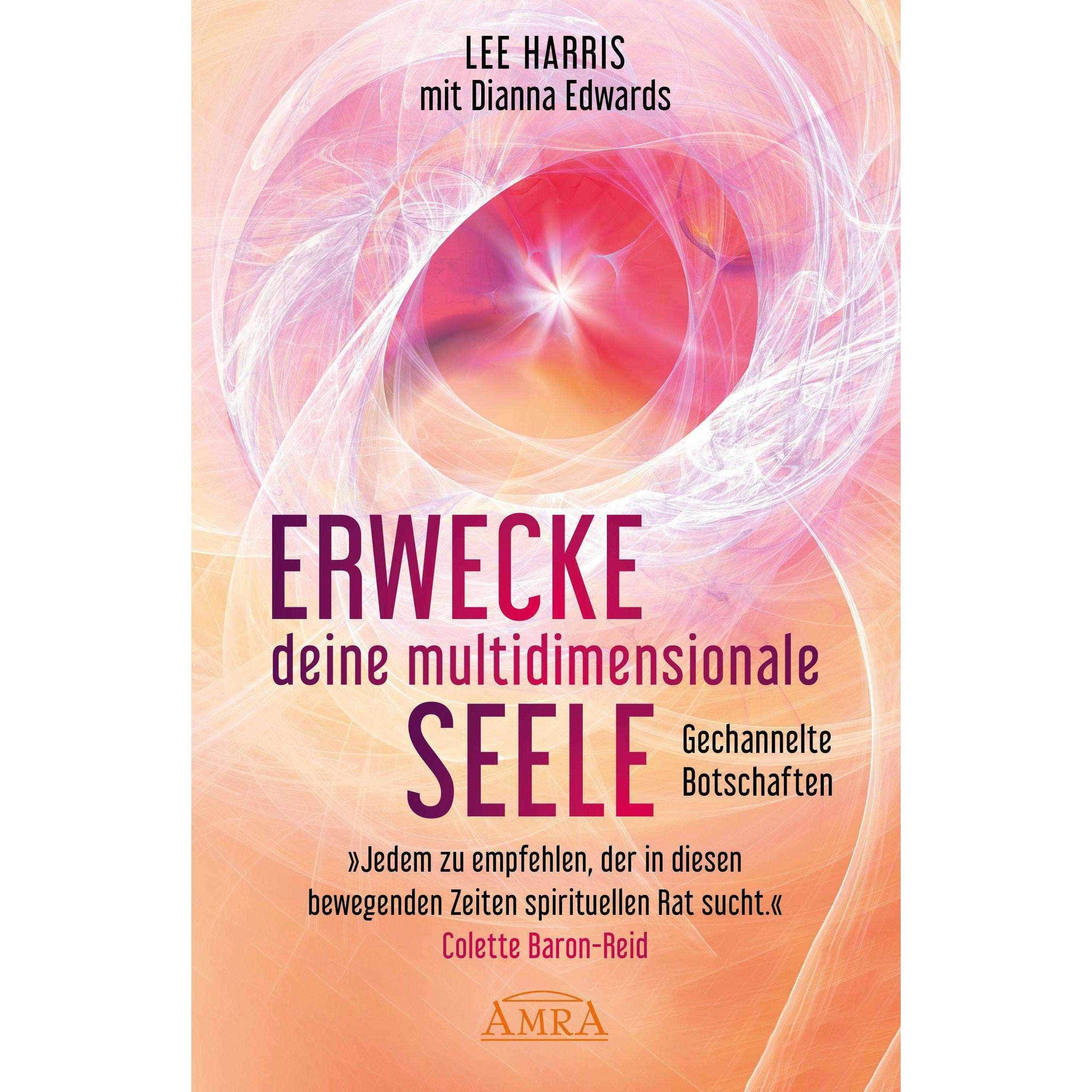 ERWECKE DEINE MULTIDIMENSIONALE SEELE: Gespräche mit Zachary, dem Sprecher von 88 Geistführern aus, Ratgeber von Lee Har...