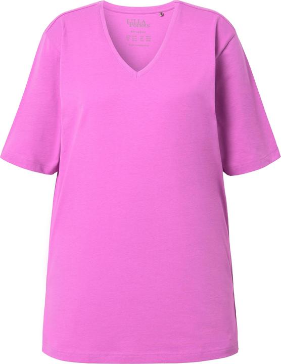 Rosa freddo