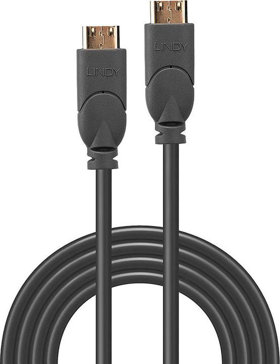 Actual product image Lindy mini HDMI (Typ C) — mini HDMI (Typ C) (0.50 m, HDMI, 2.0)
