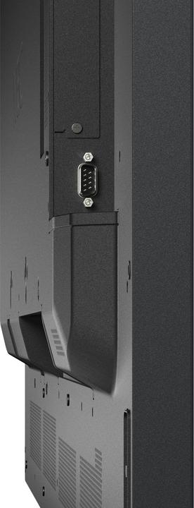 Image du produit NEC MultiSync P555 (3840 x 2160 pixels, 55")