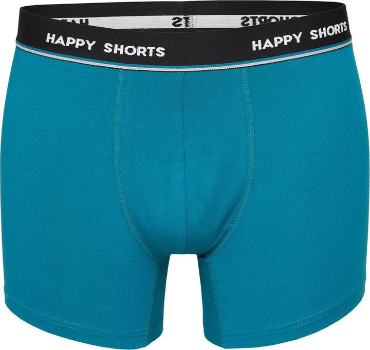 Produktbild Happy shorts Retro Pants Jersey (L, 2er Pack)
