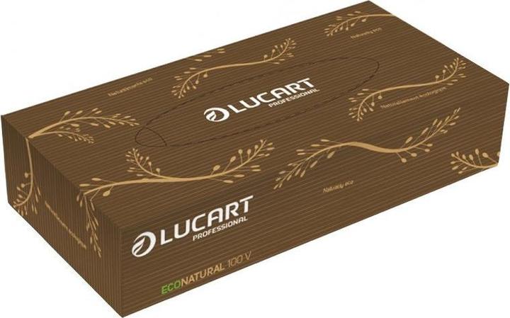 Actual product image Lucart Cosmetic tissues 2-ply Econatural