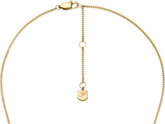 Image du produit Fossil JF04961710 Collier (Acier inoxydable)