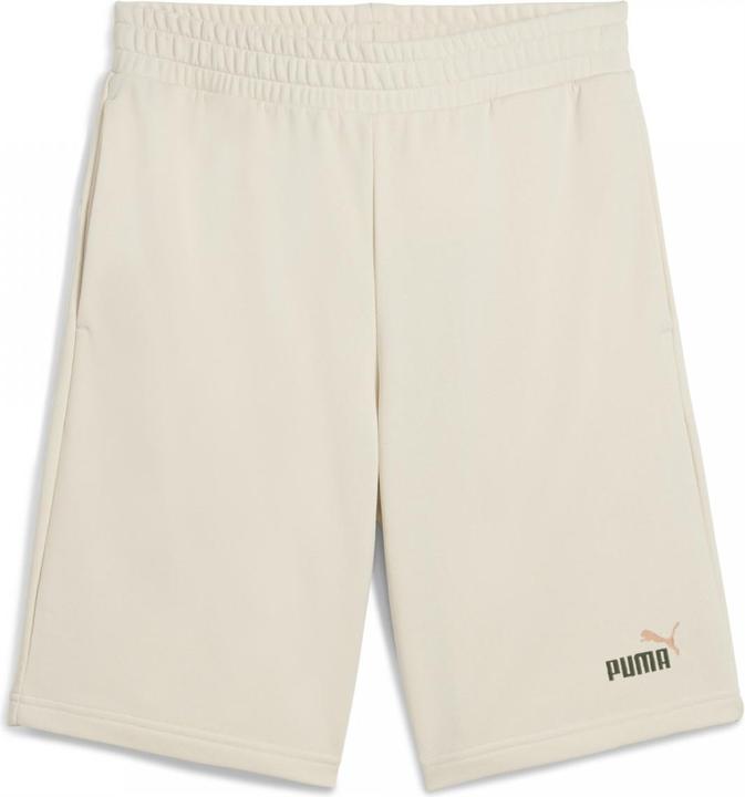 Image du produit Puma ESS 2 COLOR No. 1 Logo Shorts 10" TR (XL)