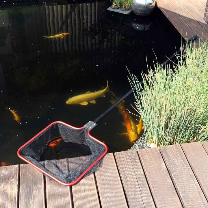 Actual product image JBL Aquaristik und Terraristik Pond landing net JBL S coarse incl. 160 cm telescopic handle, net 40 x 35 cm