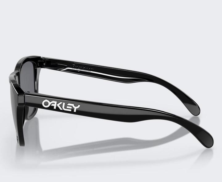 Actual product image Oakley Frogskins
