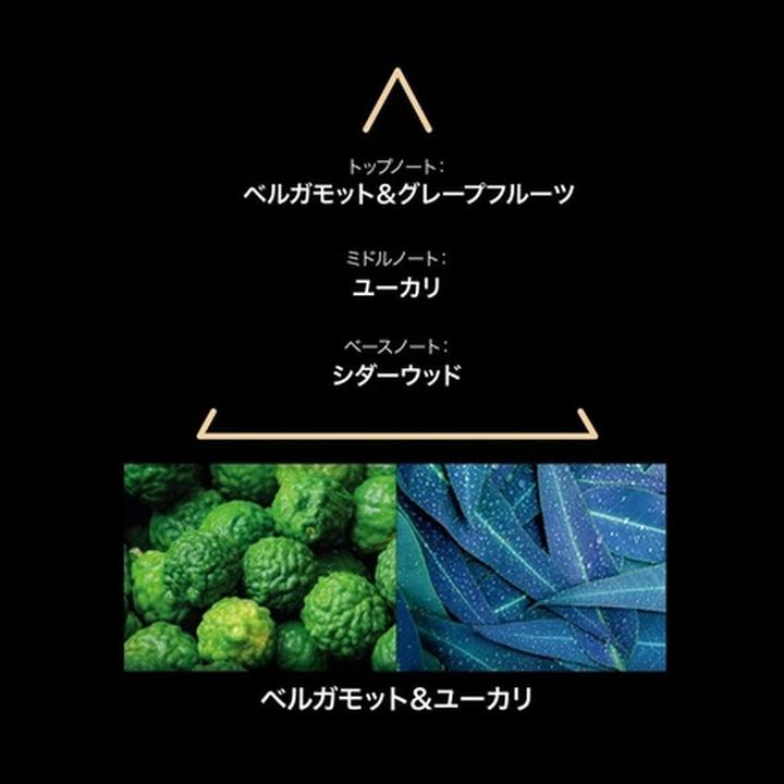 Actual product image Le Couvent Maison de Parfum Santa Cruz Eau de Parfum - 50 ml (Eau de parfum, 50 ml)