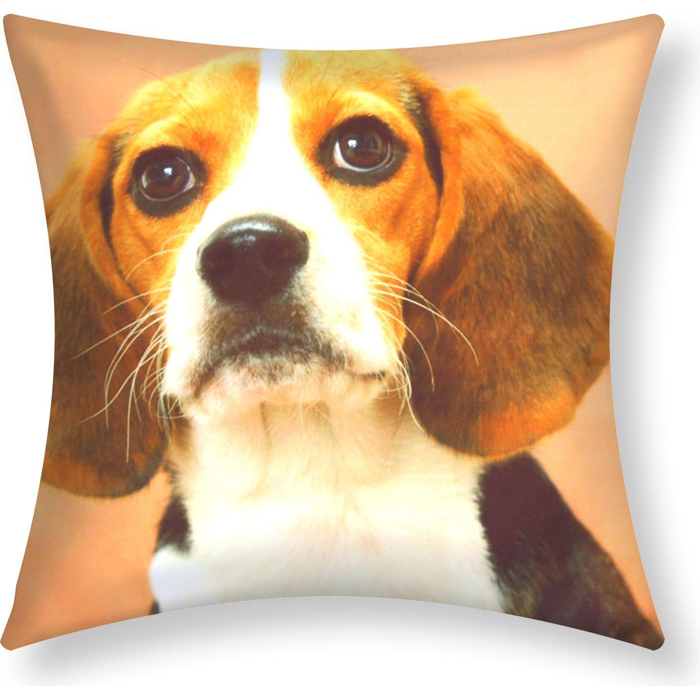 Avizar, Dekokissen, 2 Stk. Kissenbezüge Beagle Hund (40 x 40 cm)