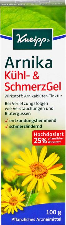 Arnika Kühl- & SchmerzGel, 100 g Gel (1 x)