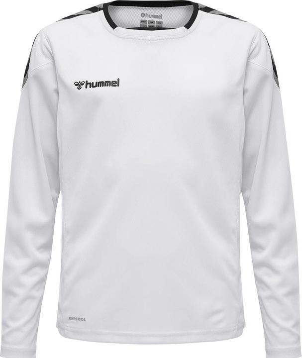 Image du produit hummel Authentic Kids Poly Jersey L/S (176)