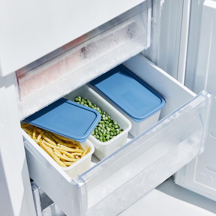 Actual product image Rotho Domino (1.50 l)