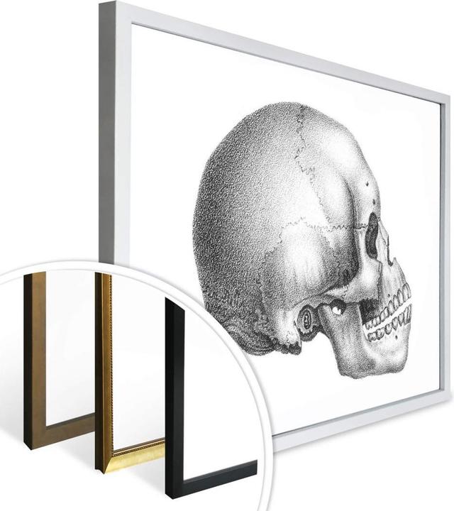 Immagine prodotto Trenddeko Cranio 02 (80 x 60 cm)