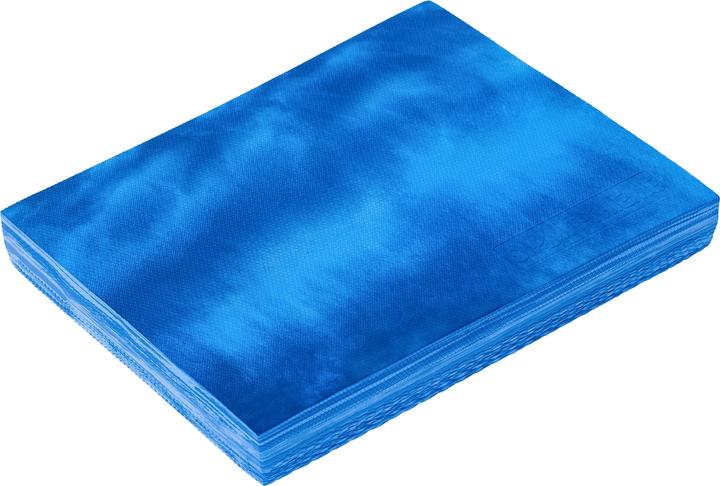 Sport-Thieme Balance Pad Premium