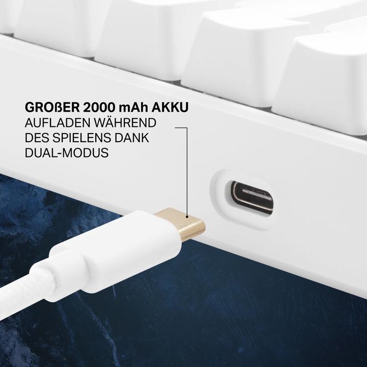 Produktbild Deltaco Gaming GAM-100-W-DE (DE, Kabellos, Kabelgebunden)