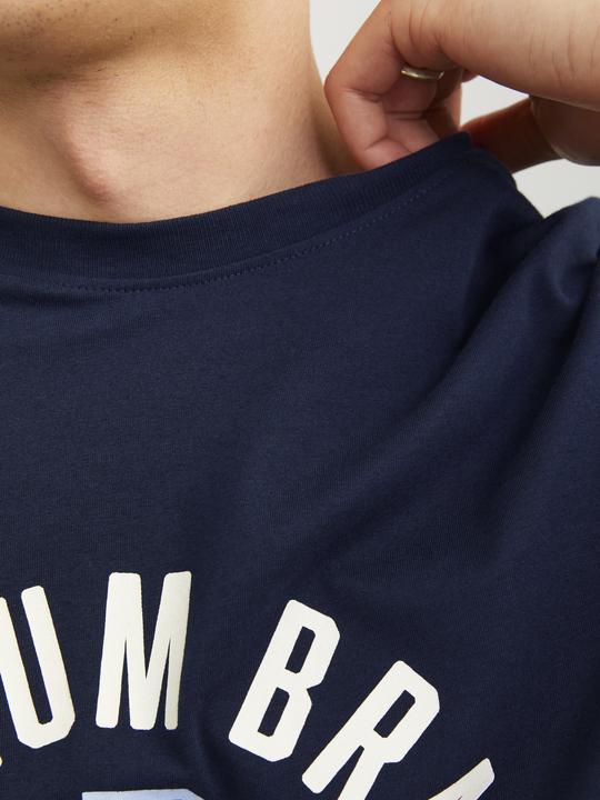 Immagine prodotto Jack & Jones T-shirt stampata con scollo rotondo (S)