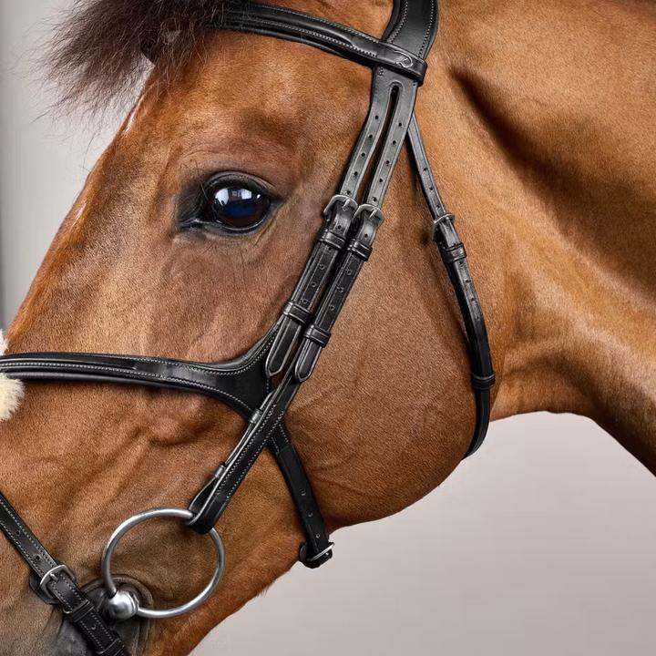 Image du produit Dy'on New English Collection