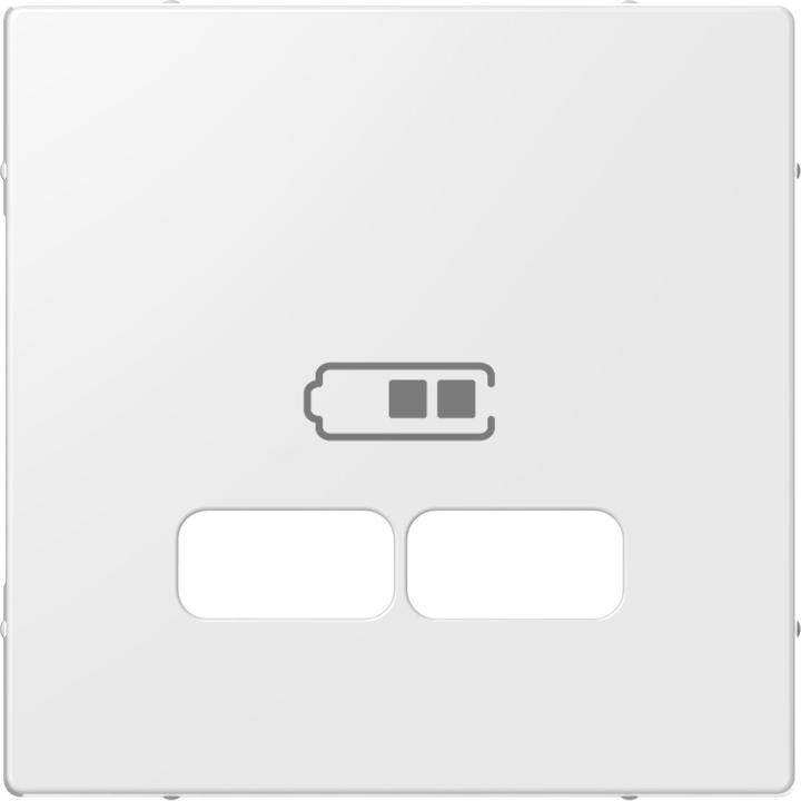 Actual product image Schneider Electric Central plate