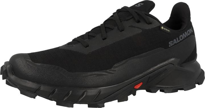Image du produit Salomon Alphacross 5 GTX - 59879 (41 1/3)