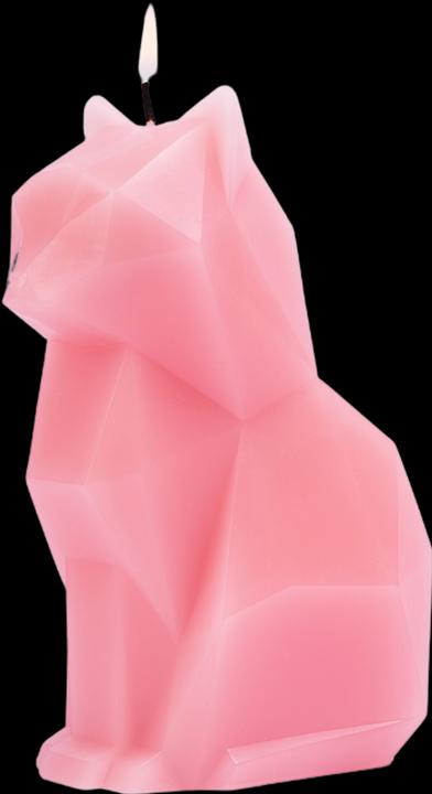 Actual product image 54Celsius PyroPet Kisa (1 pcs.)